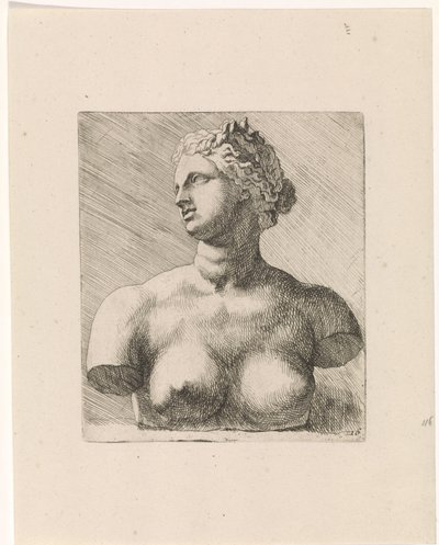 美第奇的维纳斯半身像，左侧
根据安东尼-凡-戴克（Anthony van Dyck）的古典雕塑和人物（系列名称）绘制的画册研究报告 作者 奥古斯丁·特韦斯顿（一）