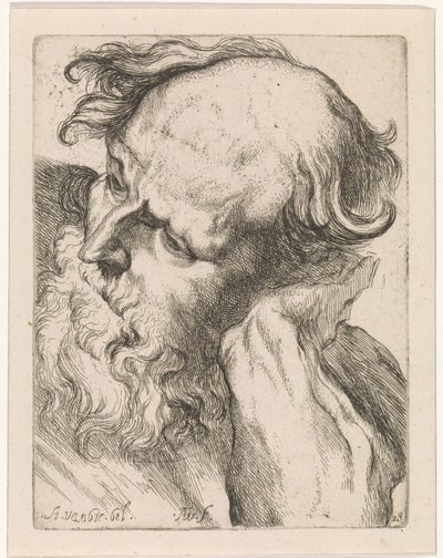 老人的头（约瑟夫）
根据安东尼-凡-戴克（Anthony van Dyck）的古典雕塑和人物绘制的画册研究（系列名称 作者 奥古斯丁·特韦斯顿（一）