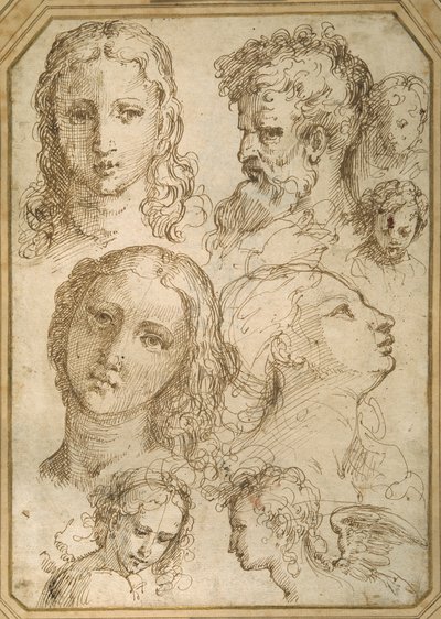Head studies: a woman, an angel, a youth and a bearded man (pen & brown ink on white paper) 作者 Aurelio (attr. To) Luini