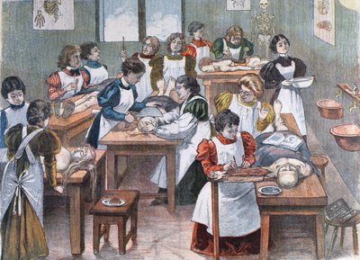 1897年纽约解剖学院的女学生 作者 奥地利学派