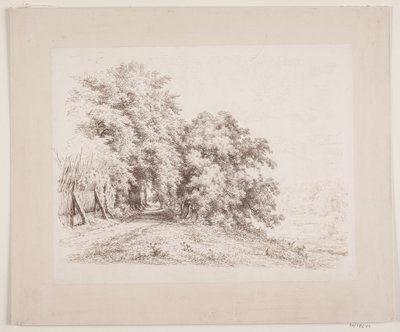 经过树木和草地的栅栏公路 作者 Axel Schovelin