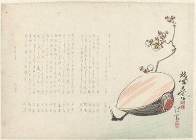 Schelp 作者 绫冈佑心