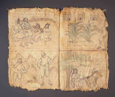 Techialoyan Codex，Coyotepec Coyonazco，墨西哥（纸上的颜料和墨水） 作者 阿兹台克人
