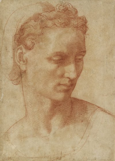 一个女人的头（粉笔在纸上） 作者 巴乔·班迪内利（Baccio Bandinelli）