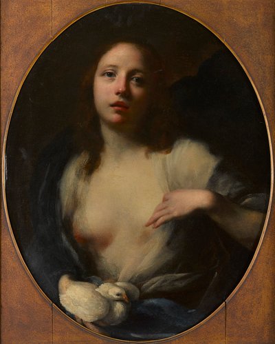 少女与白鸽油画（布面油画） 作者 巴尔达萨雷 (1611 89) 弗朗西斯基尼