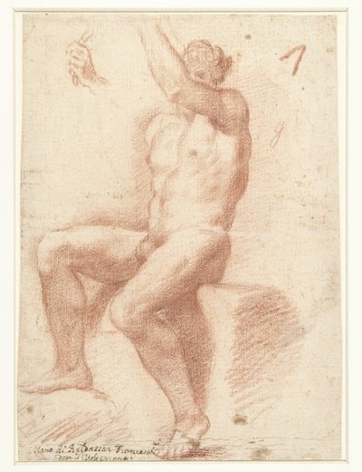 男性裸体模特研究 作者 Baldassare Franceschini