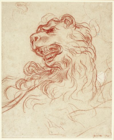 狮头研究 作者 Baldassare Franceschini