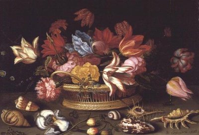 篮子里的花和贝壳在斜坡上(油画板) 作者 Balthasar van der Ast