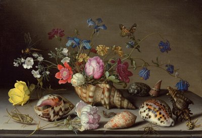 在石架上的花朵，贝壳和昆虫 作者 Balthasar van der Ast
