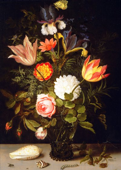 花的静物画在有两个壳的一个Roemer的 作者 Balthasar van der Ast