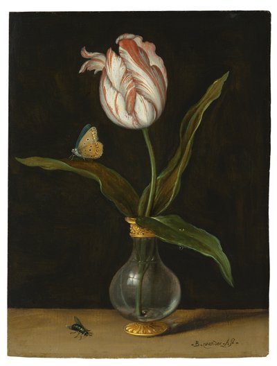 卓梅松 "郁金香（布面油画） 作者 Balthasar van der Ast
