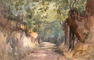 斯卡兰德门入口（水彩和石墨，水粉纸） 作者 芭芭拉·利·史密斯·博迪雄