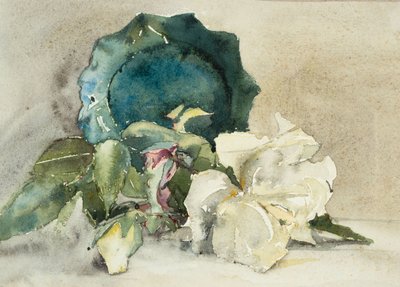 花朵和侧放的花盆（纸上水彩画） 作者 芭芭拉·利·史密斯·博迪雄