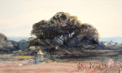 风景：松树和小炮塔（编织纸水彩和石墨） 作者 芭芭拉·利·史密斯·博迪雄