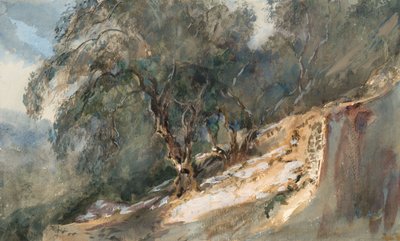 风景：树干粗糙的树木（编织纸上的水彩和石墨） 作者 芭芭拉·利·史密斯·博迪雄