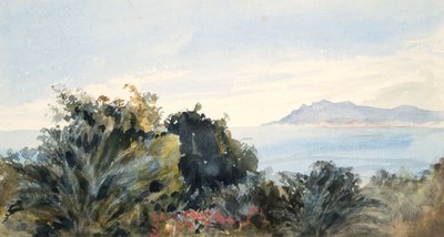 有水体的风景（编织纸水彩） 作者 芭芭拉·利·史密斯·博迪雄