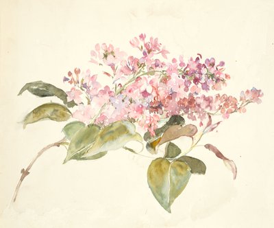 粉红色的花朵（编织纸水彩） 作者 芭芭拉·利·史密斯·博迪雄