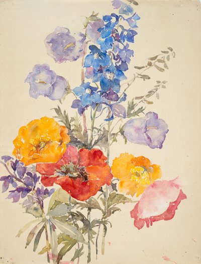 黄色、红色和蓝色的花朵（水彩画和石墨纸本） 作者 芭芭拉·利·史密斯·博迪雄