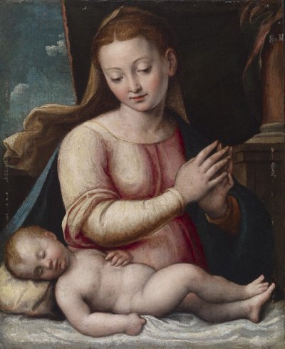 Madonna Adoring the Child，c.1580-1600（油画布面板） 作者 芭芭拉·隆吉（Barbara Longhi）