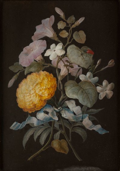 四幅静物蝴蝶画（水粉画在纸上铺在面板上） 作者 芭芭拉·里贾纳·迪茨施
