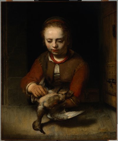 年轻女孩拔鸭子，c.1650（布面油画） 作者 巴伦·法布里修斯