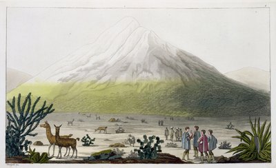 厄瓜多尔的Chimborazo，来自&39;Le Costume Ancien et Moderne&39;，第二卷，第3卷，由Jules Ferrario，由Paolo Fumagalli雕刻，出版于1820年代至30年代 作者 Baron Friedrich Alexander von Humboldt