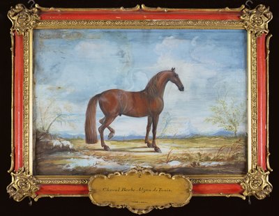 第2号Alzan de Tunis，西班牙骑术学校的巴巴里马（纸上写着） 作者 里斯·艾森伯格男爵