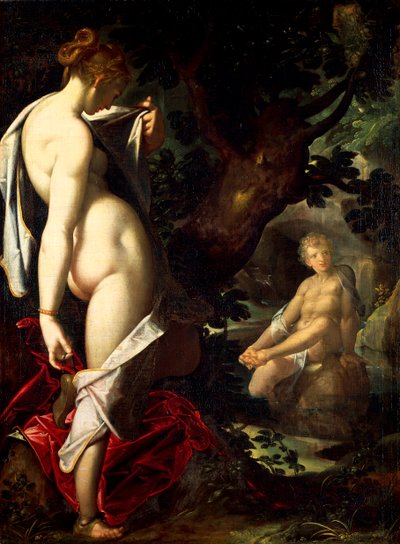 《雌雄同体和萨拉马斯》，巴塞洛缪·斯普兰格 (Bartholomaeus Spranger，1546-1611 年) 作者 Bartholomaeus Spranger