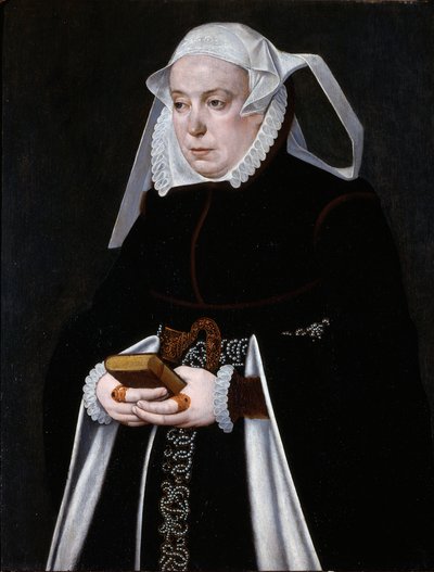 妇女肖像》，约 1560-70 年（镶板油画） 作者 Bartholomaus the Younger Bruyn