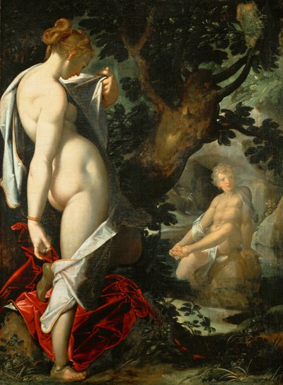 德文：Hermaphroditus und die Nymphe Salmacis 赫马弗洛狄忒斯和仙女萨尔马琪斯 作者 巴塞洛缪斯普兰格
