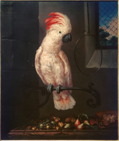 Weißer Papagei 作者 巴托洛梅奥·宾比