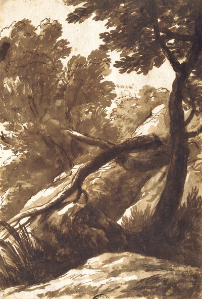树木繁茂的风景 作者 Bartolomeo Torregiani