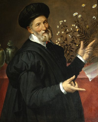 植物学家 作者 Bartolommeo Passerotti