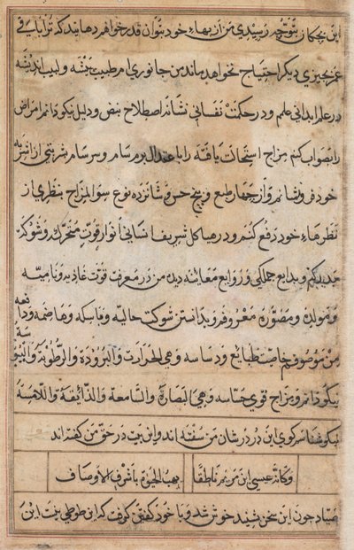 鹦鹉的故事》中的一页Tuti-nama：文本页，约1560年。 作者 巴萨瓦纳