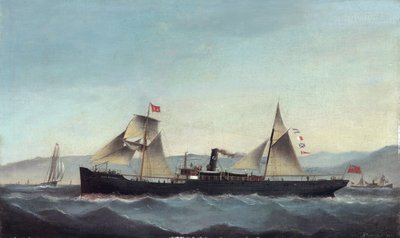 S.S. Glanrheidol 作者 巴西·伊万科维奇