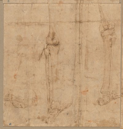 1540年代初期，从后背走下骷髅。 作者 巴蒂斯塔·佛朗哥（Battista Franco）