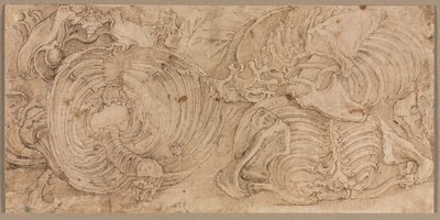 肋骨笼，1540年代初。 作者 巴蒂斯塔·佛朗哥（Battista Franco）