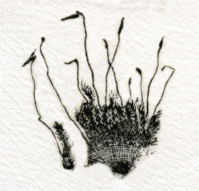 萌芽苔藓，2014年，（在gampi上雕刻木头） 作者 贝拉·拉尔森（Bella Larsson）