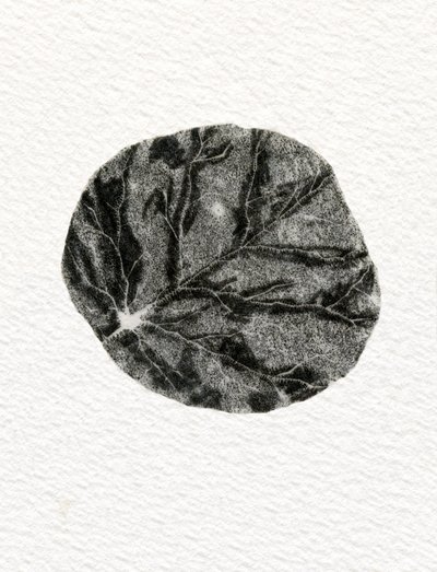 Leaf，2014，（木版画在纸上） 作者 贝拉·拉尔森（Bella Larsson）