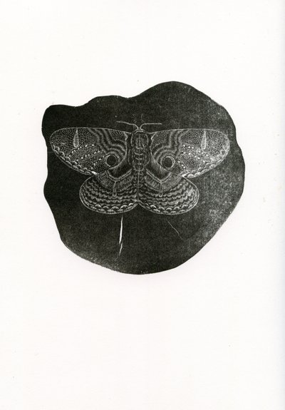 夜蝴蝶，2016年，（木版画在纸上） 作者 贝拉·拉尔森（Bella Larsson）