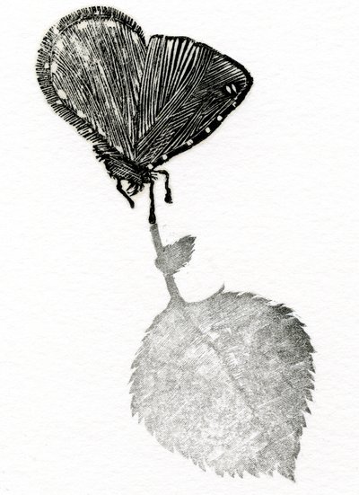 悬念》，2014 年（木刻、拼贴纸） 作者 贝拉·拉尔森（Bella Larsson）