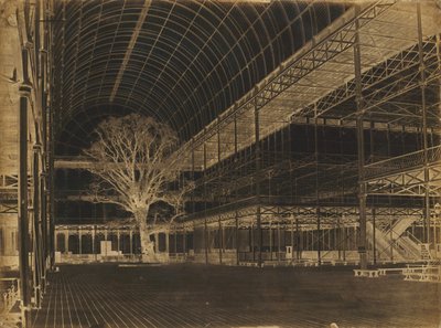 水晶宫，海德公园，中庭，1852年。 作者 本杰明·布雷克内尔·特纳