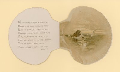 为题为《海贝壳》的小册子提供插图（彩色平版印刷）。 作者 本杰明·西格蒙德