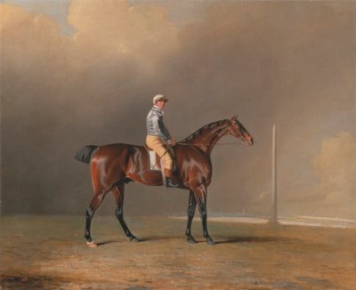 戴蒙德 (Diamond) 和丹尼斯·菲茨帕特里克 (Dennis Fitzpatrick Up) 作者 本杰明·马歇尔