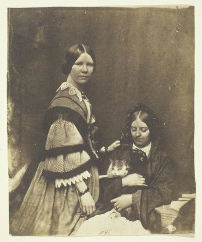 克莱克夫人抱着猫，约1858年。 作者 本杰明·穆洛克