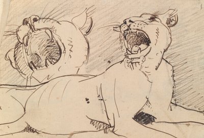 雌狮研究 作者 本杰明·罗伯特·海顿