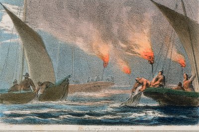 鳀鱼捕鱼》，约1845年 作者 罗伯特·肯特·托马斯