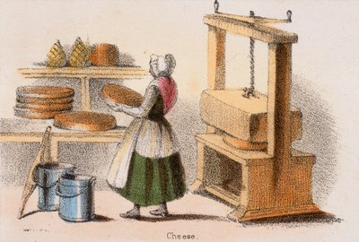 奶酪，c1845。 作者 本杰明·沃特豪斯·霍金斯