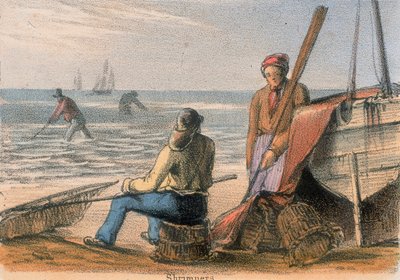 虾，c1845 作者 本杰明·沃特豪斯·霍金斯