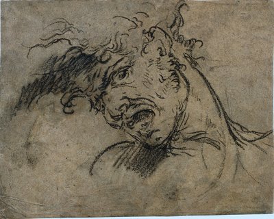 1792年，一个尖叫的人的头。 作者 本杰明·韦斯特